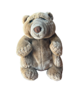 Lou Rankin Friends Brown Bear Plush Hand Puppet 11 Inch By Applause - $20.15 CAD