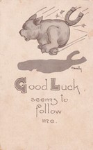 Cavally Dogs Series 5428 Good Luck Seems To Follow Me Postcard A20 - $2.99