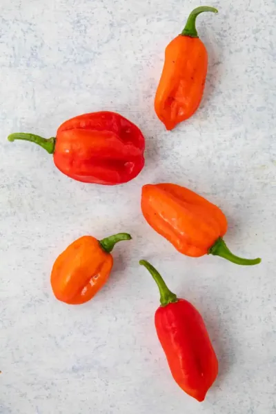 25 Seeds Aji Dulce Peppers Large Vegetable Edible Food Hot Garden - £5.75 GBP