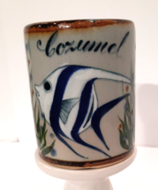 Vintage Cozumel Mexico Pottery Coffee Mug Cup Angel Fish Coral Reef Souv... - $13.93