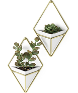 Trigg Hanging Planter Vase Wall Decor, Set of 2 Pots Containers for Succ... - $40.27 CAD