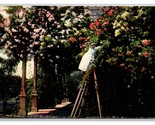 Rose Garden In California CA UNP DB Postcard V24 - £2.33 GBP