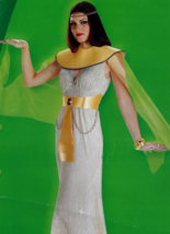 DISGUISE CLEOPATRA WOMEN&#39;S HALLOWEEN COSTUME STANDARD (12-14) - $526.20 MXN