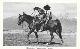 Postcard Wyoming Designated Driver Humor Duckboy Cards Dog Horse Mountains - £3.91 GBP