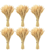 600 Stems Natural Dried Wheat Stalks, 18 Inches Dried Wheat Grass Bundle... - €44,58 EUR