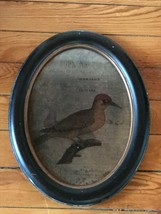Estate Vintage Reproduction Bird Decal or Print Under Glass in Shabby Black &amp; - £15.45 GBP
