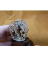 tb-ele-8 little PACHYDERM standing Tagua NUT palm figurine Bali safari zoo - $69.97 CAD