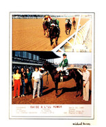 Winning Horse Race Photos (2) Raise A L&#39;ll Humor Wins Woodbine Racetrack... - $5.63