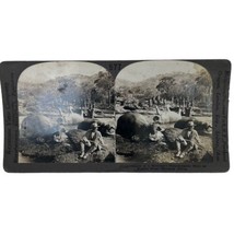 Hippopatumus Hunt Rhodesia 577 Antique Keystone  Stereoscopic Card Stereoview - £11.19 GBP
