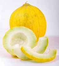 Sow No GMO Melon Casaba Yellow Non GMO Garden Fruit 25 Seeds - $2.54