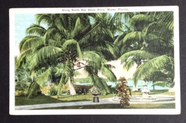 Along North Bay Shore Drive Scenic View Royal Palms Miami Florida Postcard 1920s - $4.99