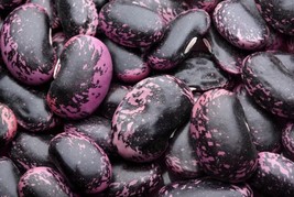 Scarlet Emperor Runner Beans 20 Seeds Heirloom Vine Easy Grow Colorful - $2.63