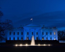 White House lit blue for Autism Awareness during Trump Admin Photo Print - £6.92 GBP+