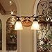 interoknack Vintage Double Antler Wall Lamp, Creative Rustic Style Glass Shade S Item image 6