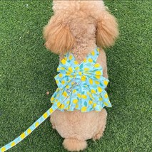 Flower Print Harness Dress and Leash Set, Dog Clothes Puppy Harnesses Vest - £13.54 GBP
