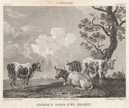 1814 Original Copperplate Engraving Paulus Potter Animals Prairie Landscape Cow - £21.73 GBP