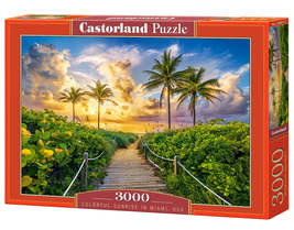 3000 Piece Jigsaw Puzzles, Colorful Sunrise in Miami, USA, Adult Puzzles, Castor - £28.32 GBP