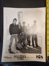 Reel Big Fish Promo Picture 2005 zomba recordings rbf ska punk john halpern - $14.99