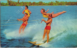 Postcard Florida Cypress Gardens Water Ski Show 1968 Posted 5.5 x 3.5 &quot; - £3.95 GBP
