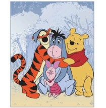 Winnie The Pooh Group Hug Disney Plush Blanket Softy And Warm Twin (60”x80”) - £35.24 GBP