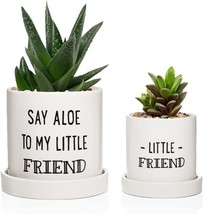 Laila And Lainey Aloe Pot And Succulent Planter - Set Of Two - Funny - £27.13 GBP
