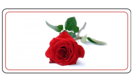 Red Rose White Usa Made Metal License Plate - £23.59 GBP