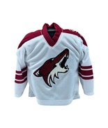 Phoenix Coyotes Wayne Gretzky Mini Jersey - $14.01