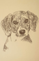 Beagle Dog Signed Kline Art #44 Artist adds your dogs name into print free. GIFT - £38.85 GBP