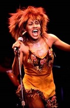 Tina Turner singing in concert holding microphone in full action 24x36 poster - £23.18 GBP