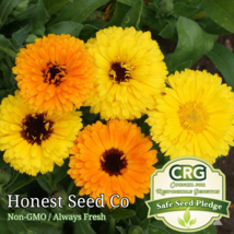 100 Seeds Fiesta Gitana Calendula Flower Color Mix - $9.80