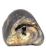 Rare Laxmi Narayan Shaligram - TriChakra Lakshmi Narayana - Gandaki Rive... - $17,253.00 MXN