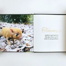 Teacup Pigs by Richard Austin Adorable Pet Pictures Small Hardcover Gift Book image 4