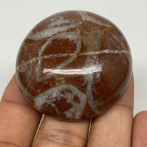 50.4g, 1.7&quot;x0.7&quot;, Natural Untreated Red Shell Fossils Round Palms-tone, ... - $6.00