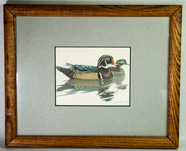 Richard sloan wood duck print thumb200