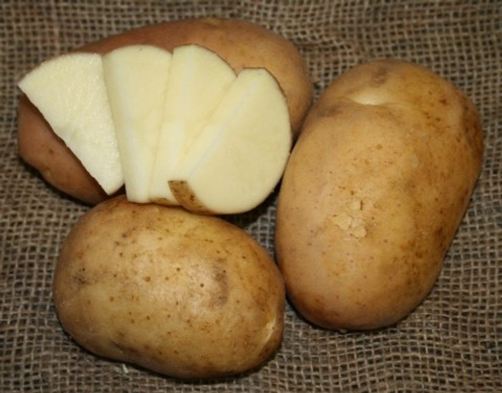 California White Potato 6 Tubers - $26.99