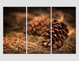 Fir Cones in Forest Canvas Print Nature Wall Art Forest Canvas Art Fir Cones Pri - £39.28 GBP