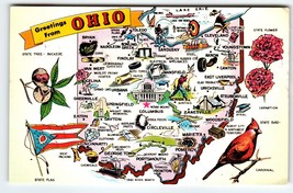 Ohio Map Postcard Chrome Cardinal Bird State Flower Carnation Flag 1953 Tichnor - £7.10 GBP