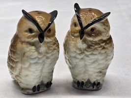 Vintage Horned Owl Salt &amp; Pepper Shaker Set - Farmhouse Country Birds Ru... - $9.98