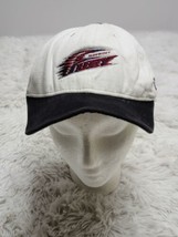 VTG Detroit Fury Vintage Arena Football League Snapback Hat AFL NEW New ... - $7.93