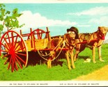 Vtg Postcard 1910s Quebec Canada Sainte Anne De Beaupre Dogs in Hat Pull... - $13.81