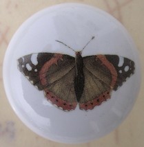 Ceramic Cabinet  Knobs butterfly Insect brown - $5.25