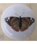 Ceramic Cabinet  Knobs butterfly Insect brown - £4.13 GBP