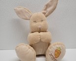 2004 Kids II Bright Inspirations Brown Tan Prayer Bunny Rabbit Nibbles P... - $19.70