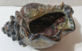 Conk Seashell Bowl Tortoise Color Glazed Home Decor Beach 10.5x7x4 Trink... - $55.76