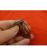 y-bir-to-35 little red white Toucan tropical bird soapstone carving love... - $161.90 MXN