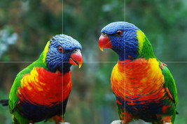 Lorikeet parrot rainbow bird colorful ceramic tile mural backsplash - £45.41 GBP+