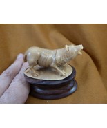 tb-pig-1 little tan pig stretching Tagua NUT palm figurine Bali Piglet h... - $852.83 MXN