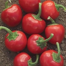 USA SELLER 100 Seeds Large Red Hot Cherry Pepper Seeds - £15.13 GBP