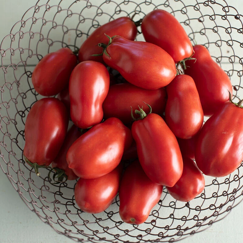 50 Seeds San Marzano Tomato Heirloom Vegetable Tomatoe Garden Edible - $5.18