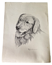 Mary Dove Texas Artist Signed Art Print Golden Retriever Dog Rainmaker B &amp; W - £149.16 GBP